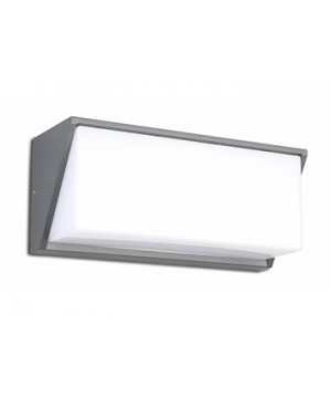 New LED Wall light WS-19145